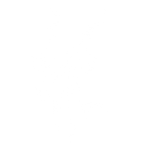 Thogomela Africa
